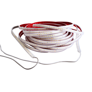 LED Stripes ab IP44 bei Freiberger Energie-u.Gebäudetechnik GmbH in Moosthenning